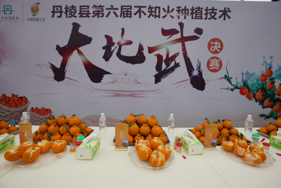 不知火种植技术 “大比武”现场