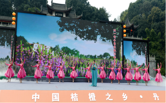 歌舞《走进幸福古村》