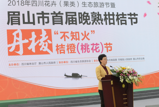 县委书记朱莉致辞